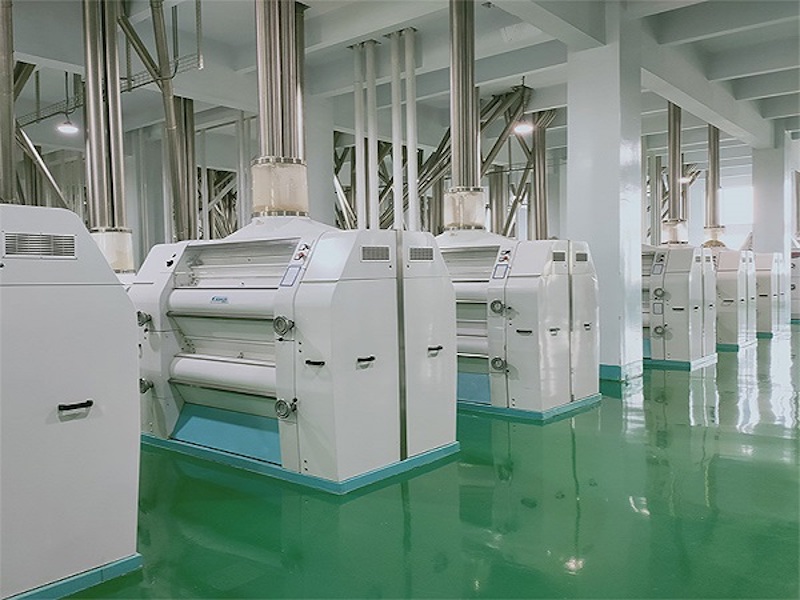 100 tons of flour processing project